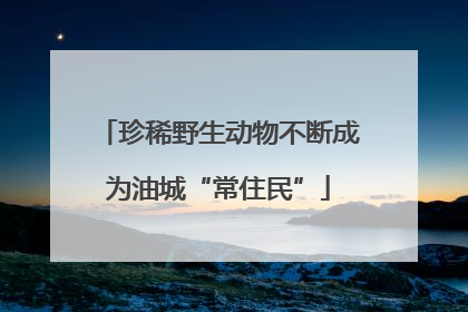 珍稀野生动物不断成为油城“常住民”