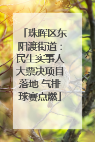 珠晖区东阳渡街道：民生实事人大票决项目落地 气排球赛点燃