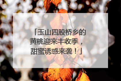 玉山四股桥乡的黄桃迎来丰收季，甜蜜诱惑来袭！