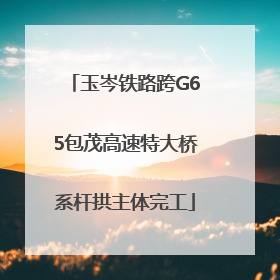 玉岑铁路跨G65包茂高速特大桥系杆拱主体完工
