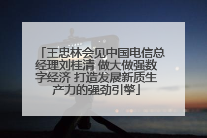 王忠林会见中国电信总经理刘桂清 做大做强数字经济 打造发展新质生产力的强劲引擎