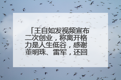 王自如发视频宣布二次创业，称离开格力是人生低谷，感谢董明珠、雷军，还回应了“工资条”：清楚自己要什么……