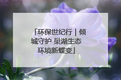 环保世纪行｜倾城守护 巢湖生态环境新蝶变