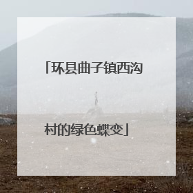 环县曲子镇西沟村的绿色蝶变
