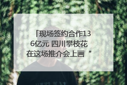 现场签约合作136亿元 四川攀枝花在这场推介会上画“图谱”列“清单”