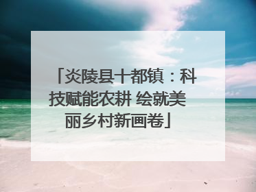 炎陵县十都镇：科技赋能农耕 绘就美丽乡村新画卷
