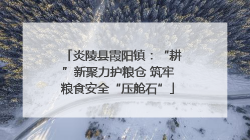 炎陵县霞阳镇：“耕”新聚力护粮仓 筑牢粮食安全“压舱石”