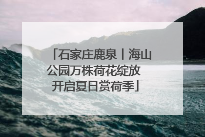 石家庄鹿泉丨海山公园万株荷花绽放 开启夏日赏荷季