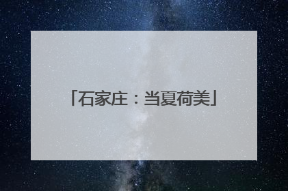 石家庄：当夏荷美