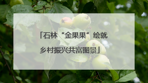 石林“金果果”绘就乡村振兴共富图景