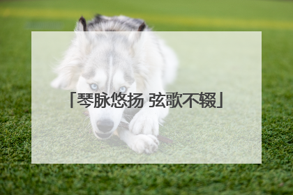 琴脉悠扬 弦歌不辍