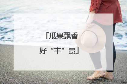 瓜果飘香 好“丰”景