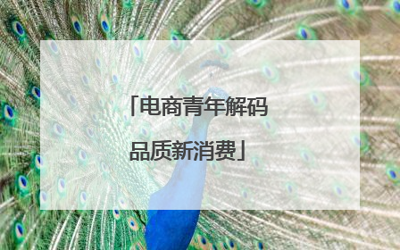 电商青年解码品质新消费