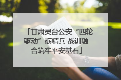 甘肃灵台公安“四轮驱动”砺精兵 战训融合筑牢平安基石