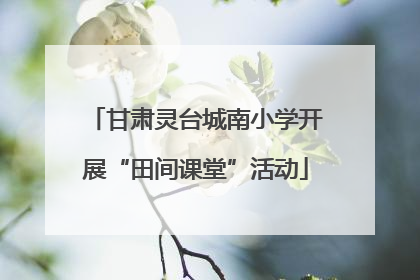 甘肃灵台城南小学开展“田间课堂”活动