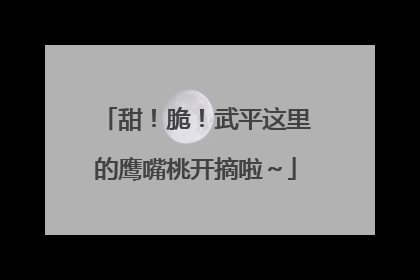 甜！脆！武平这里的鹰嘴桃开摘啦～