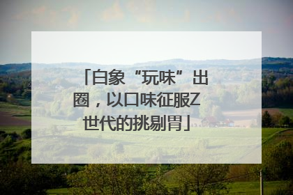 白象“玩味”出圈，以口味征服Z世代的挑剔胃