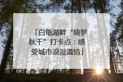 白龟湖畔“绮梦秋千”打卡点：感受城市浪漫温情