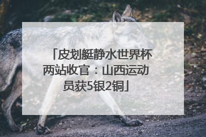 皮划艇静水世界杯两站收官：山西运动员获5银2铜