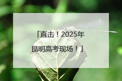 直击！2025年昆明高考现场！