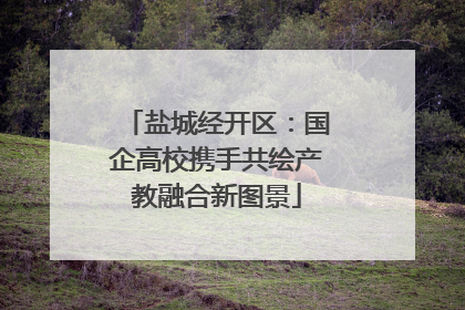 盐城经开区：国企高校携手共绘产教融合新图景
