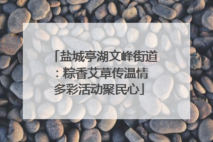 盐城亭湖文峰街道：粽香艾草传温情 多彩活动聚民心