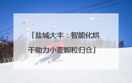 盐城大丰：智能化烘干助力小麦颗粒归仓