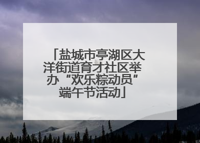 盐城市亭湖区大洋街道育才社区举办“欢乐粽动员”端午节活动