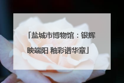盐城市博物馆：银辉映端阳 釉彩谱华章