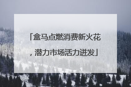 盒马点燃消费新火花，潜力市场活力迸发