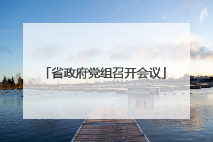 省政府党组召开会议