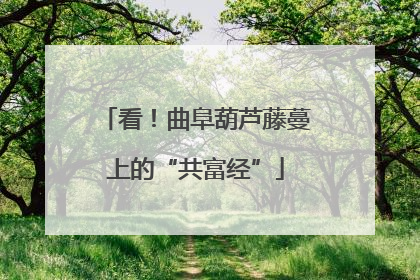 看！曲阜葫芦藤蔓上的“共富经”