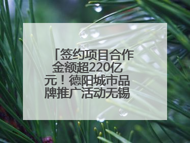 签约项目合作金额超220亿元！德阳城市品牌推广活动无锡站成绩单出炉