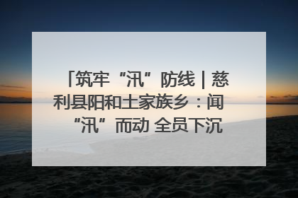 筑牢“汛”防线｜慈利县阳和土家族乡：闻“汛”而动 全员下沉筑牢防汛“安全堤”