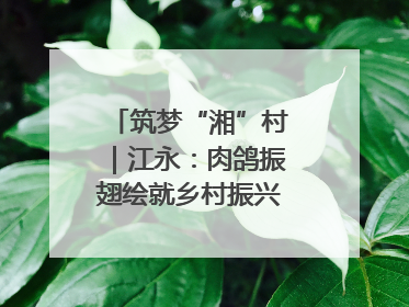 筑梦“湘”村｜江永：肉鸽振翅绘就乡村振兴“金羽画卷”