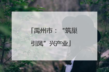 禹州市：“筑巢引凤”兴产业