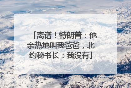 离谱！特朗普：他亲热地叫我爸爸，北约秘书长：我没有