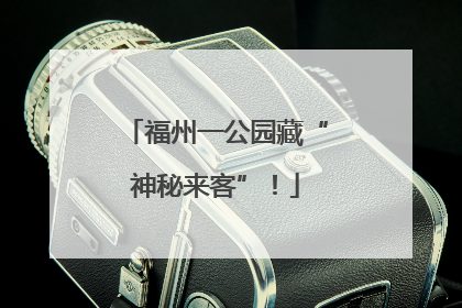 福州一公园藏“神秘来客”！