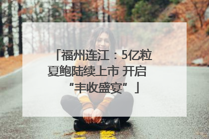 福州连江：5亿粒夏鲍陆续上市 开启“丰收盛宴”