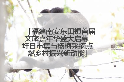 福建南安东田镇首届文旅嘉年华盛大启幕 圩日市集与杨梅采摘点燃乡村振兴新动能