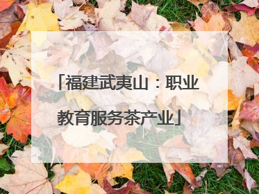 福建武夷山：职业教育服务茶产业