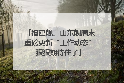 福建舰、山东舰周末重磅更新“工作动态” 狠狠期待住了