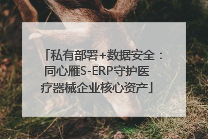 私有部署+数据安全：同心雁S-ERP守护医疗器械企业核心资产