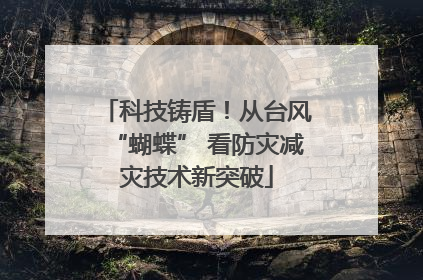 科技铸盾！从台风“蝴蝶” 看防灾减灾技术新突破