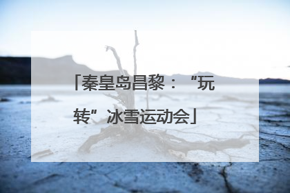 秦皇岛昌黎：“玩转”冰雪运动会
