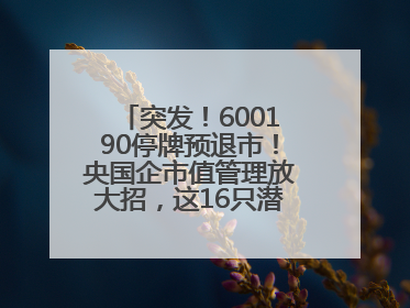 突发！600190停牌预退市！央国企市值管理放大招，这16只潜力股要火？