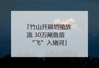 竹山开展增殖放流 30万尾鱼苗“飞”入堵河
