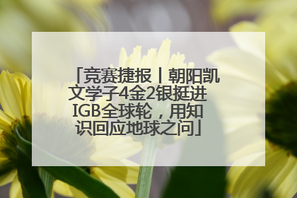 竞赛捷报丨朝阳凯文学子4金2银挺进IGB全球轮，用知识回应地球之问