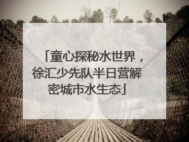 童心探秘水世界，徐汇少先队半日营解密城市水生态
