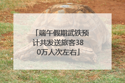 端午假期武铁预计共发送旅客380万人次左右